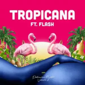 Show Dem Camp - “Tropicana” ft. Flash